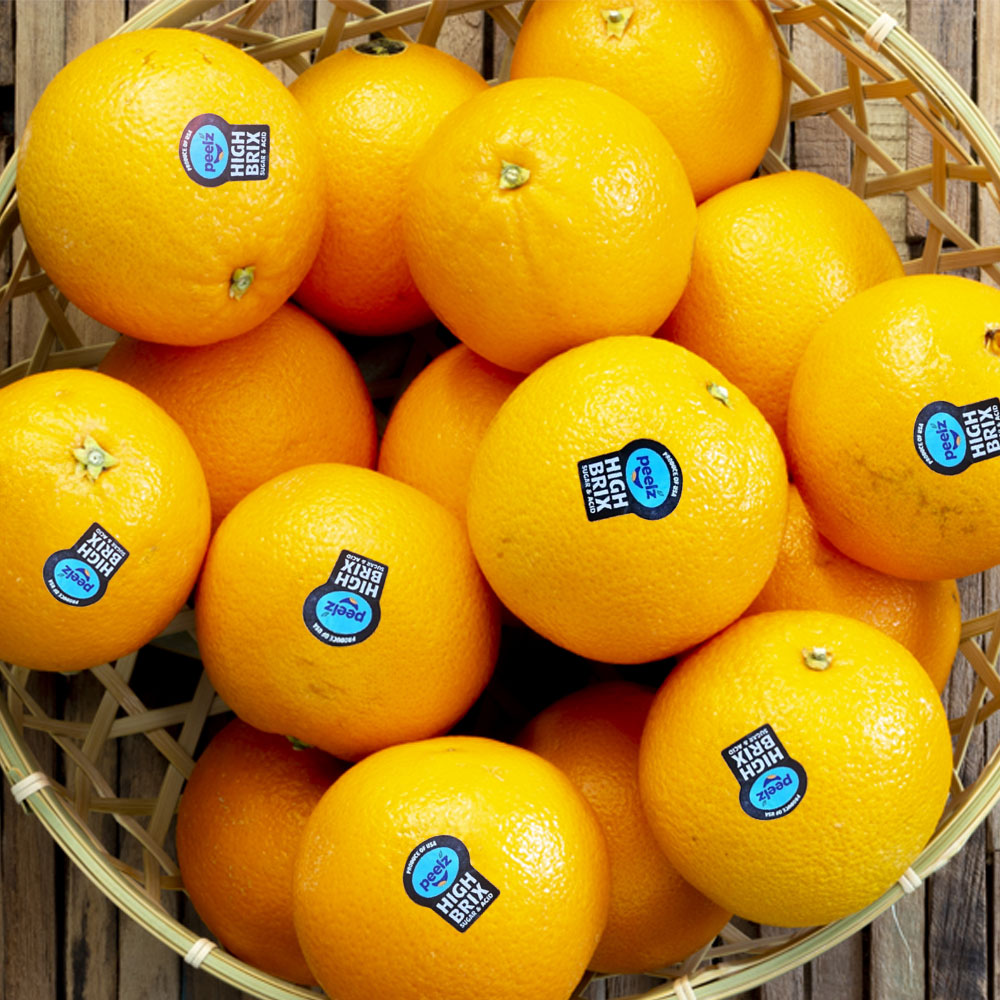 실속형 못난이 블랙라벨 고당도 오렌지 중과